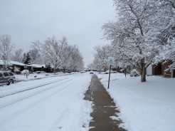 Matt's street - with Snow!