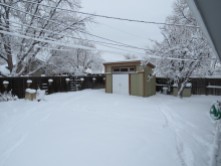 Matt's backyard - with snow!
