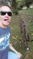 Selfie with a little horse/donkey