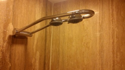 cause 1 shower head is not enough